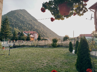 Hanu' Lepsa — fotografia 5