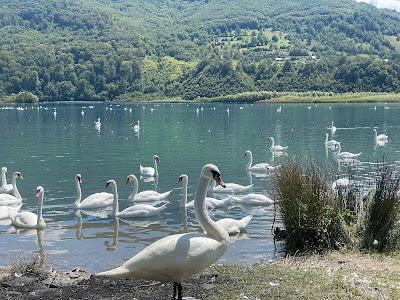 Pângărați — fotografia 4
