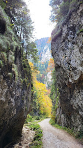 Fântâna lui Botorog — fotografia 4