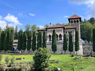 Castelul Cantacuzino — fotografia 3