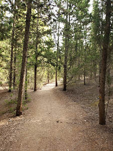 Área de Recreo Castillo de La Asomada — fotografia 3