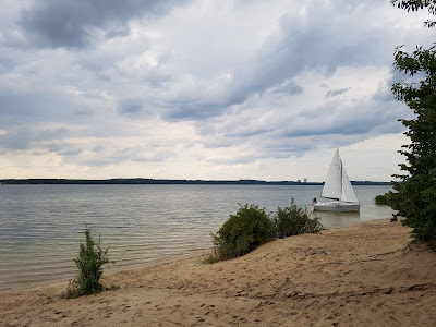 Dzika Plaża