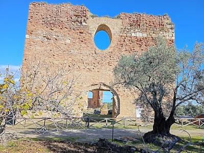 Scolacium Museum and Archaeological Park — fotografia 5