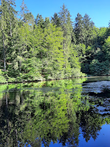 Kreuzbergl Lake 3