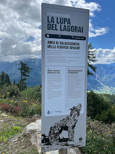 "Lupa del Lagorai" di Marco Martalar — fotografia 5