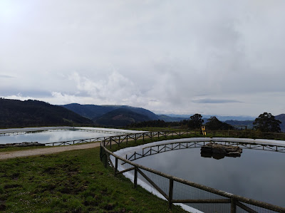 Área recreativa de Monte Deva — fotografia 4