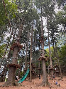 Jungle Raider Park Albavilla — fotografia 3