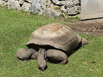 Grădina Zoologică Hellabrunn — fotografia 4