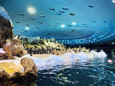 Loro Parque — fotografia 4