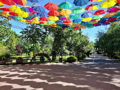 Parcul "Pădurea Vedea"