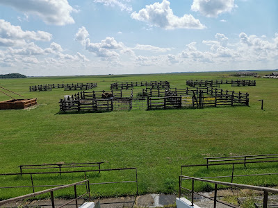 Puszta Animal Park — fotografia 3