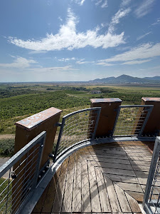 Observation Tower Tokaj — fotografia 5