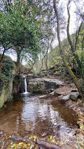Ruta dels Arbres de Vallcàrquera — fotografia 3