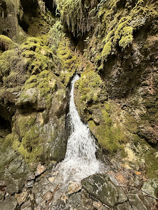 Bosque Encantado de Las Higueras — fotografia 5