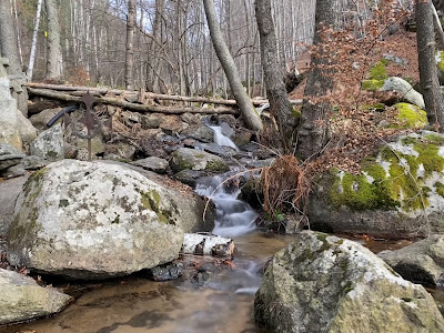 The path of health - Kladnitsa - hut Selimitsa — fotografia 4