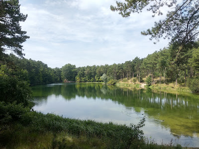 Uitkijktoren Burgh Haamstede — fotografia 5
