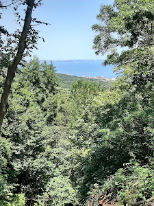 Priroden Park Zlatni Pyasatsi — fotografia 4