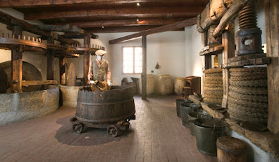 Museo dell’Olivo Carlo Carli — fotografia 4