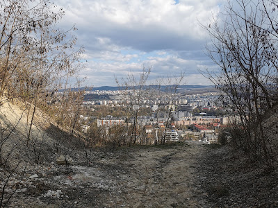 Punct Belvedere