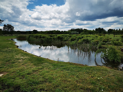 Magyarkert — fotografia 4