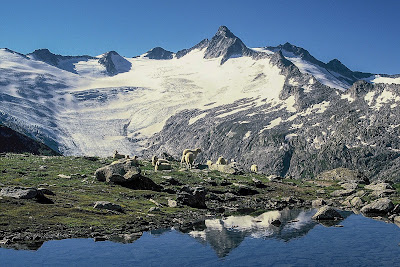 Berliner Höhenweg