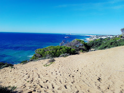 Barbate Pinar de la Brena — fotografia 5