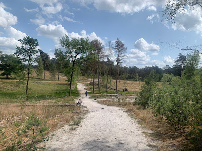 Brunssummerheide