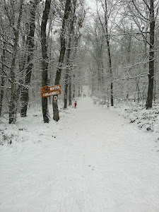 Змајевац — fotografia 4