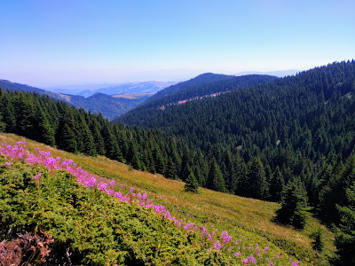 Kopaonik National Park — fotografia 3