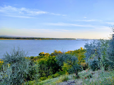 Parc Viva
