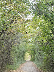 Lobau — fotografia 5