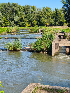 Tisza Tavi Hallépcső — fotografia 4