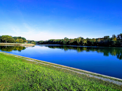 Drava forest