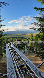 Bob - Alpine Coaster Toplita — fotografia 3
