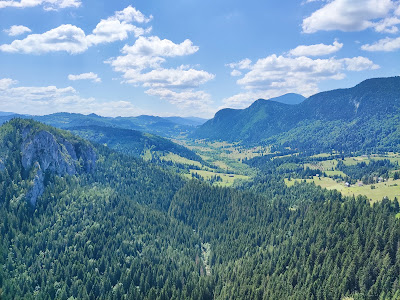 Belvedere Piatra Surducel