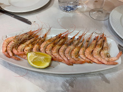 Gamba Cristal — fotografia 4