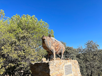 Montes de Málaga Natural Park — fotografia 3
