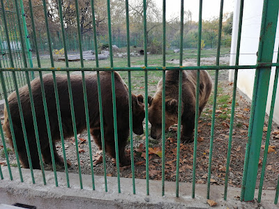 Grădina zoologică Piteşti — fotografia 3