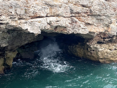 Seal cave — fotografia 3