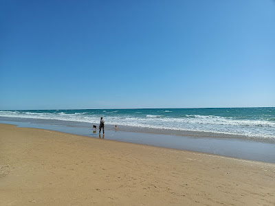 Playa de Castilobo — fotografia 5