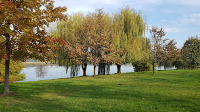 Parcul Dendrologic