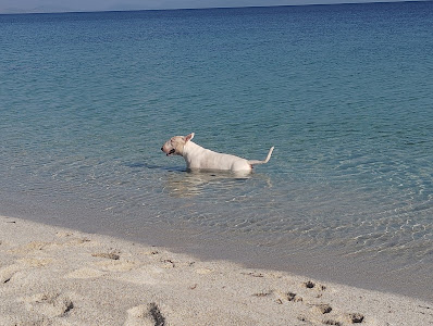 Spiaggia Fiume Santo — fotografia 4