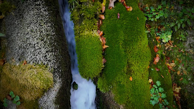 Cascada Vadu Crișului — fotografia 3