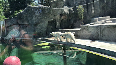 Zoo Tábor - A Fővárosi Állatkert Tábora — fotografia 2
