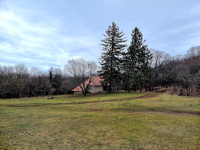 Ruins of the Pauline Monastery — fotografia 5