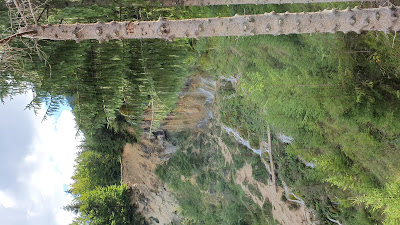 Cascada Pișoaia — fotografia 2