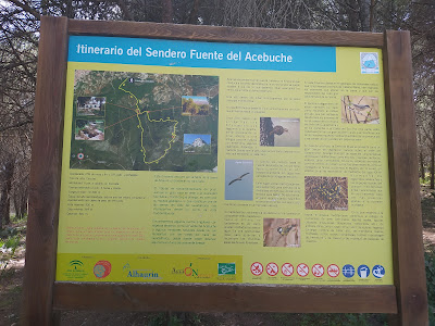Sendero Fuente Del Acebuche — fotografia 5