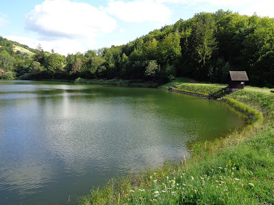 Kopanický Rybník