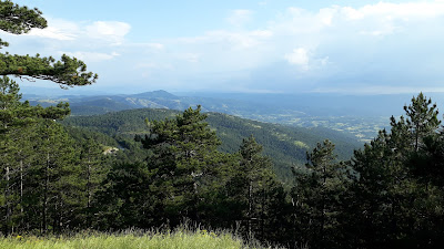 Viewpoint