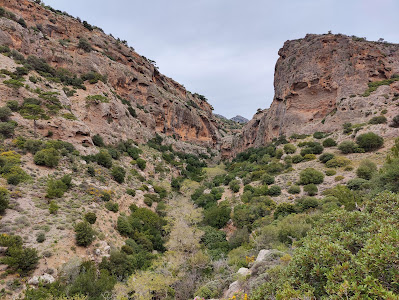 Pefki Gorge — fotografia 3